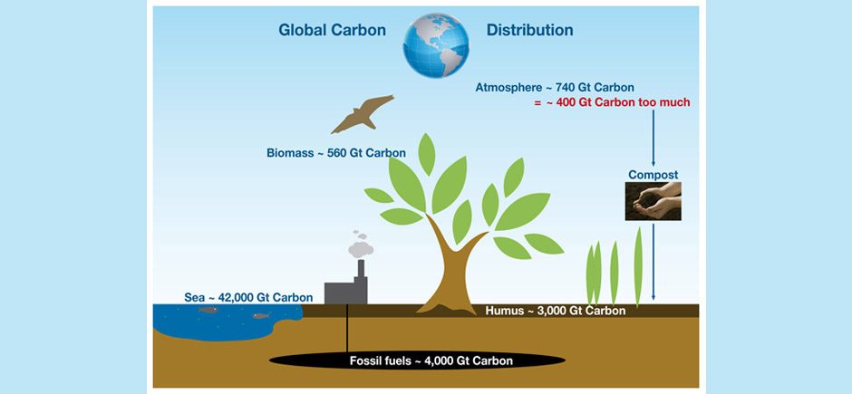 So funktioniert "Carbon Farming"